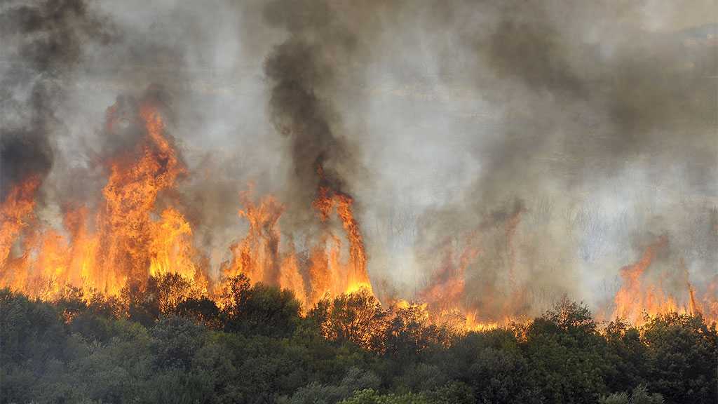 Deadly Forest Fires Ravage Northern Algeria