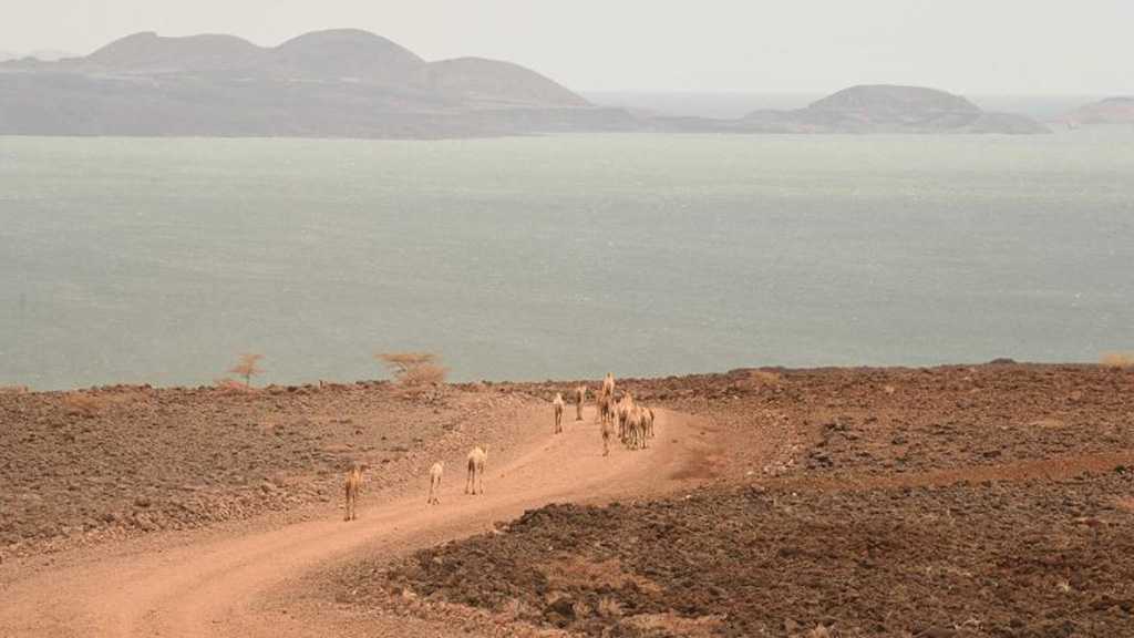 UN: Drought in Horn of Africa Places 22m People at Risk of Starvation