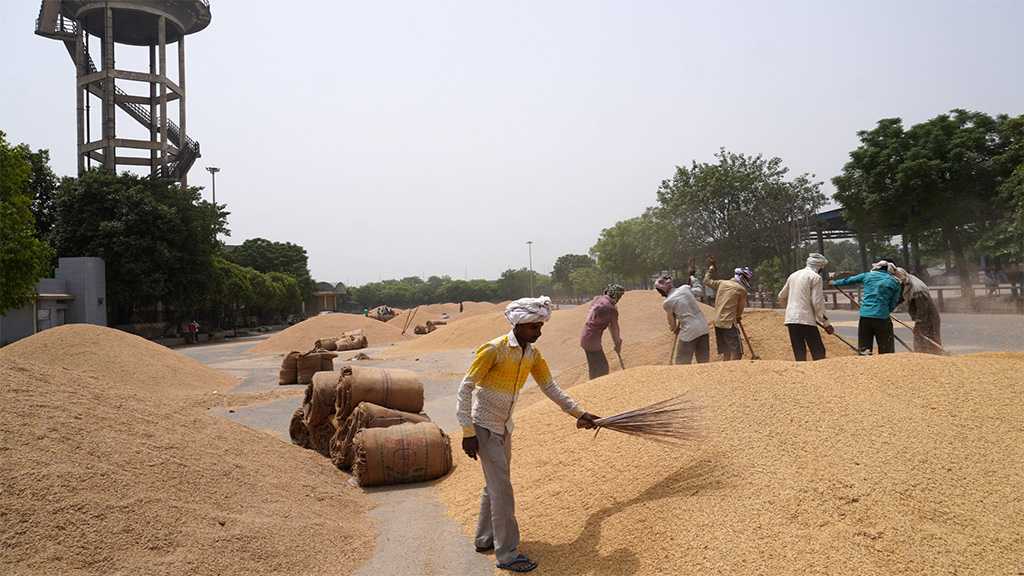 India Restricts Export of Rice