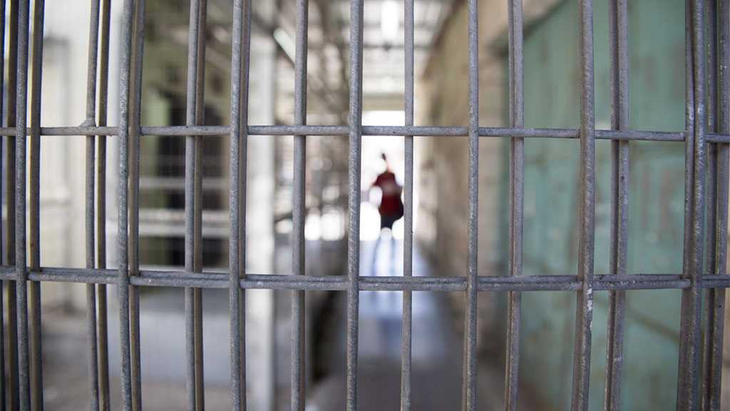 Some 300 Rights Groups, Civil Organizations Demand Immediate Release of Palestinian Detainees