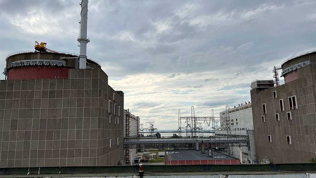 Zaporozhye Nuclear Power Plant Loses Power