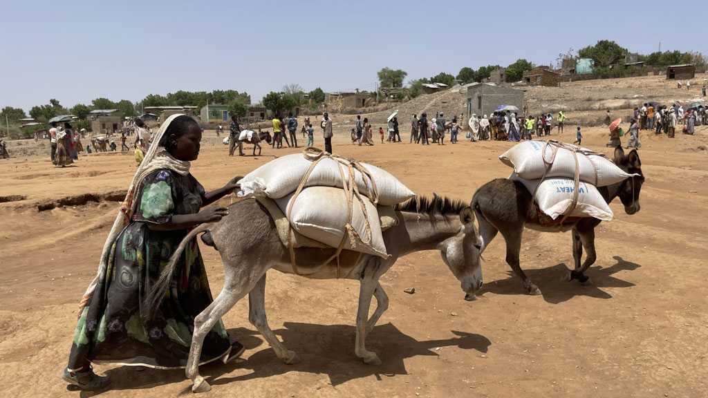 Food Aid into Ethiopia’s Tigray ‘Not Matching Needs’ - UN