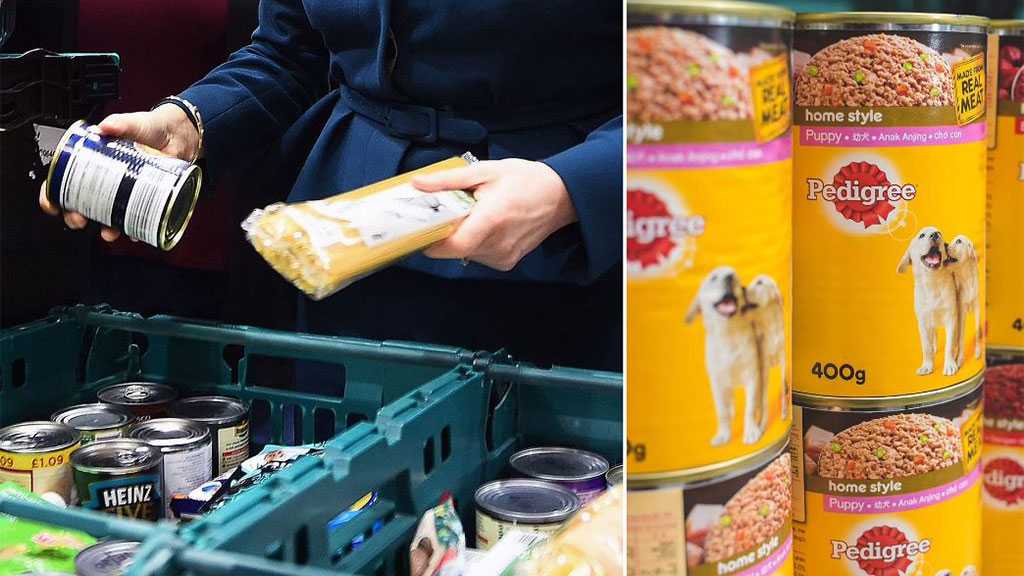 Britons Turn to Pet Food Amid Cost of Living Crisis