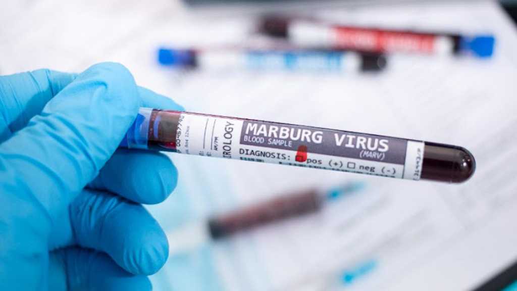 WHO: Equatorial Guinea Confirms First Marburg Virus Outbreak