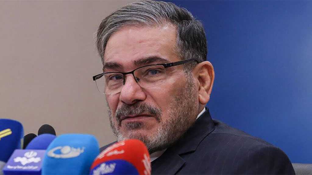 Shamkhani: Establishing Strong Region Iran Neighborliness Policy Aim