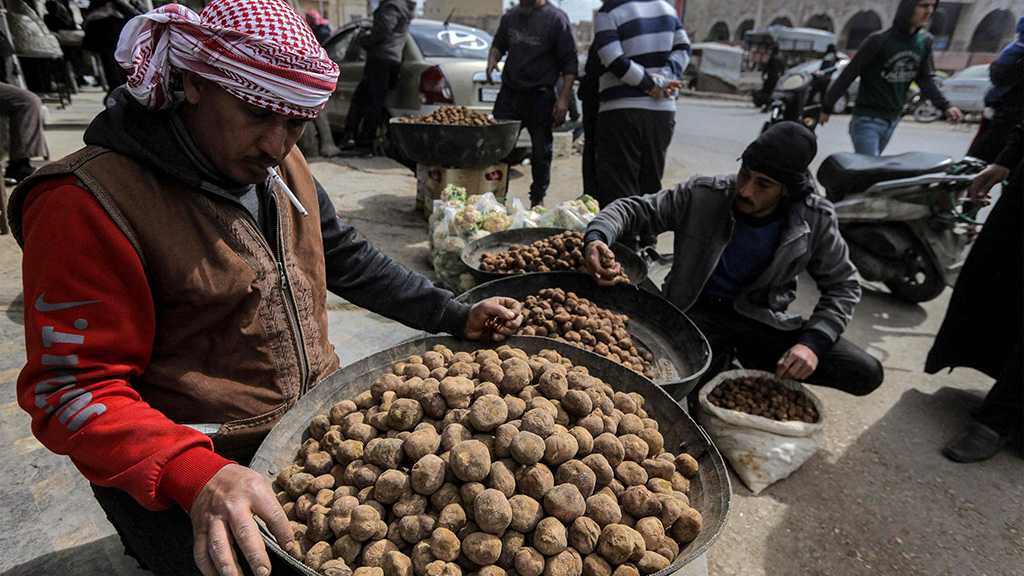 Daesh Terrorists Behead 15 Truffle Hunters in Syria, 40 Missing