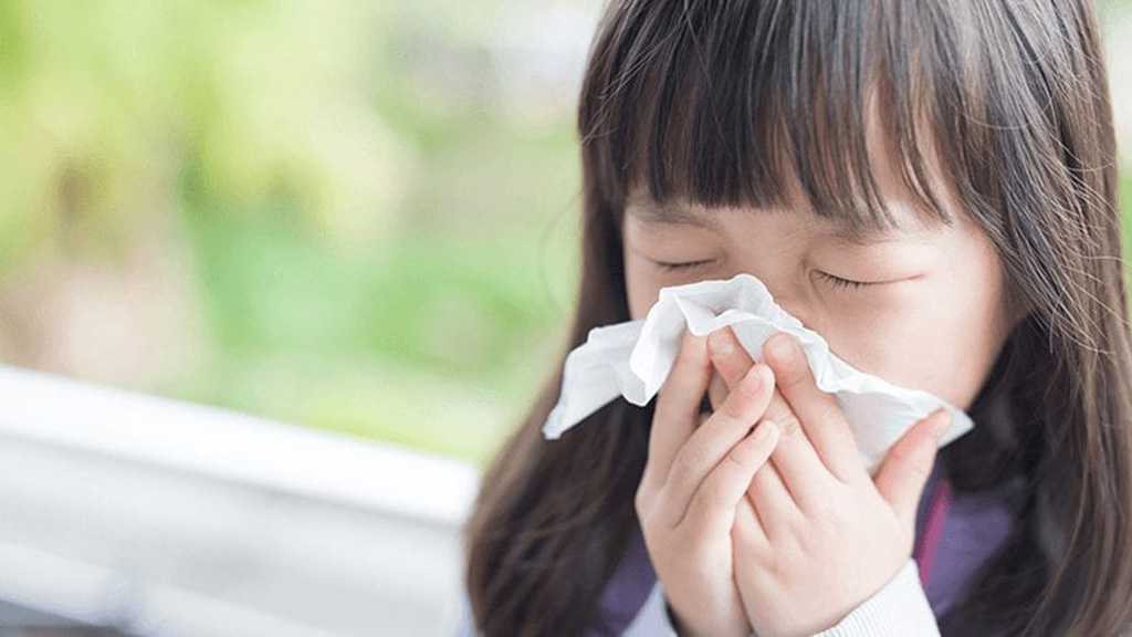 Japan Declares War on Pollen as Hay Fever Epidemic Grips the Nation
