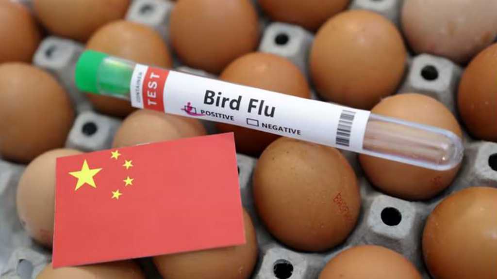 WHO: China Records 1st H3N8 Bird Flu Death