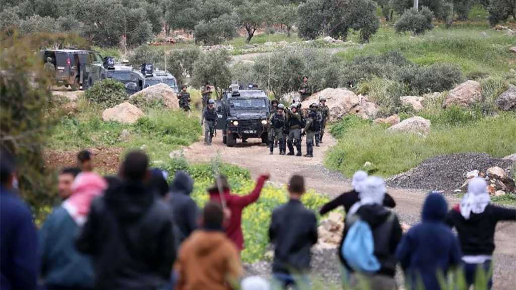 The ‘Israeli’ Occupation Steals 14 Dunums of Palestinian Agricultural Land in Ramallah