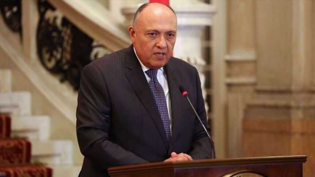 Egypt Slams EU for Canceling Meeting with Arab League over Syria’s Readmission