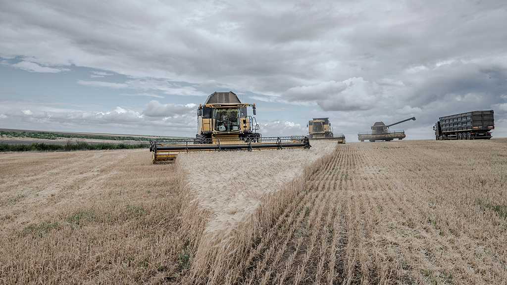 Moscow: No Extension to Ukraine Grain Deal Until Russia’s Demands Are Met