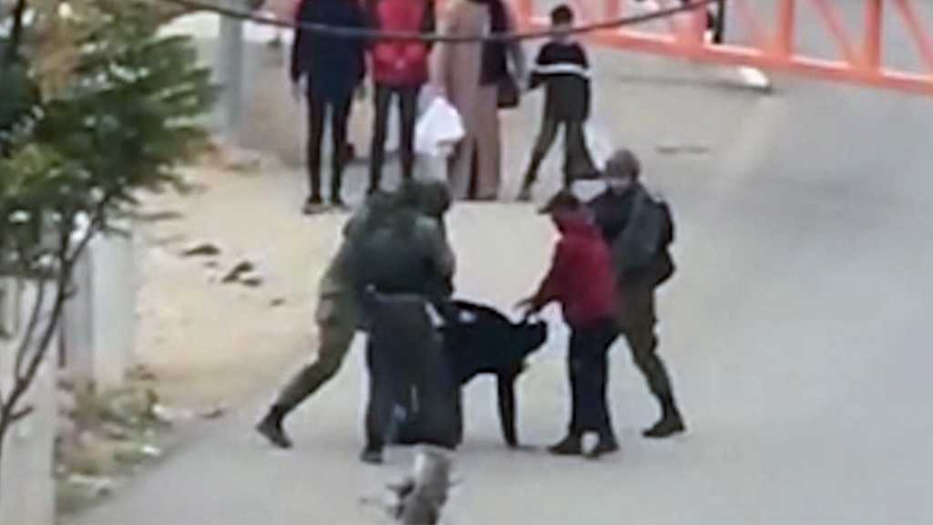 ‘Israeli’ Soldier Shoots Mentally-disabled Palestinian In Occupied West Bank