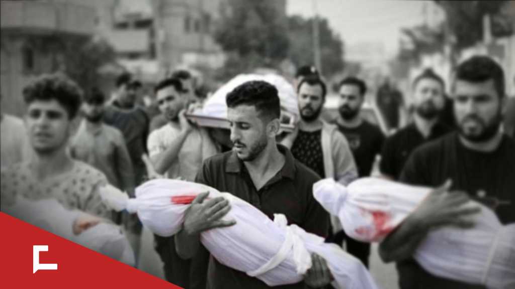 The Gaza Tragedy in Numbers