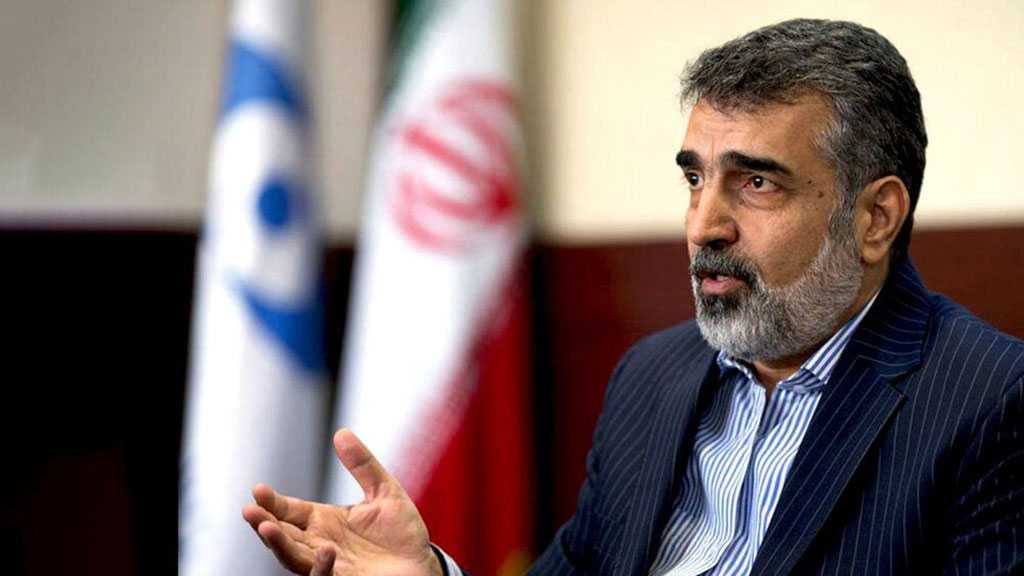 AEOI Chief: Iran Willing to Share Nuke Expertise with All Countries