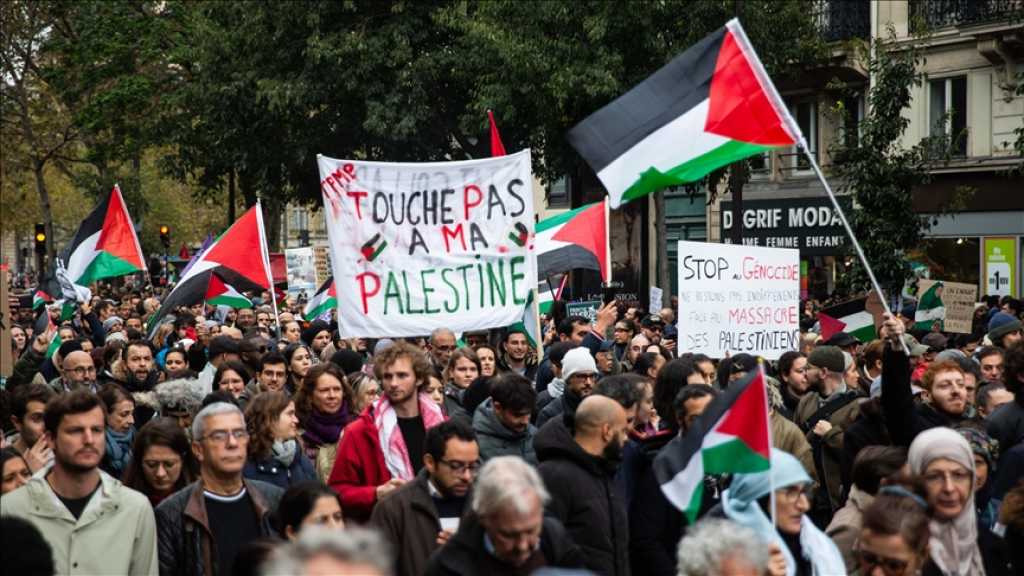 French People Urge Macron to Recognize A Palestinian State