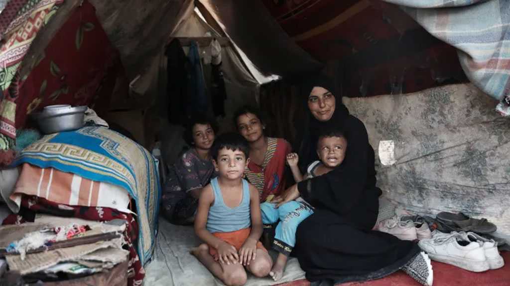 “My children cry all day from the heat”: Life in Gaza’s tent camps