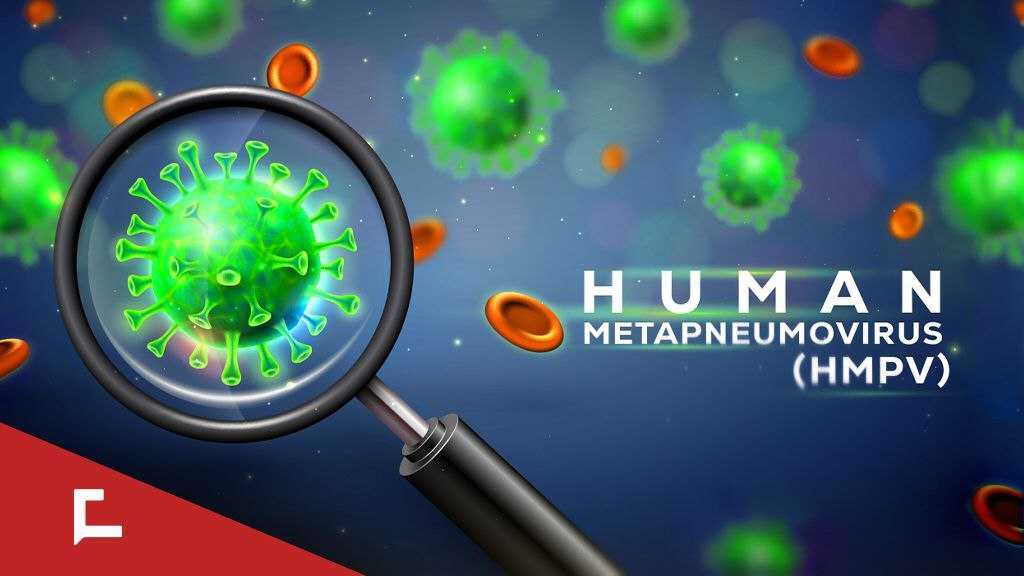 Understanding Human Metapneumovirus [HMPV]