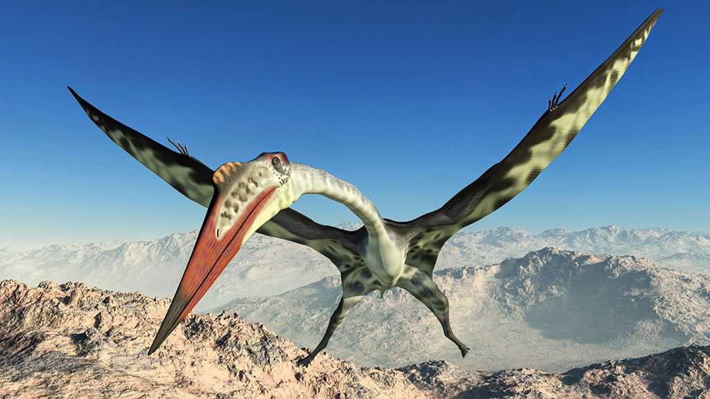 New Pterosaur Species Discovered, Bridging 200-Year Evolutionary Gap