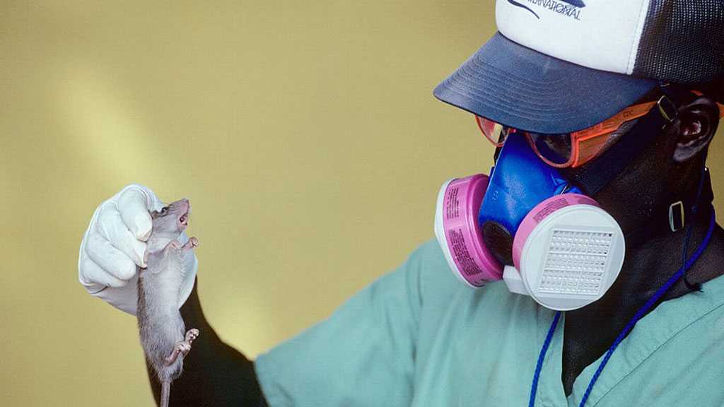 Nigeria Issues Lassa Fever Advisory Following Death of UK Returnee